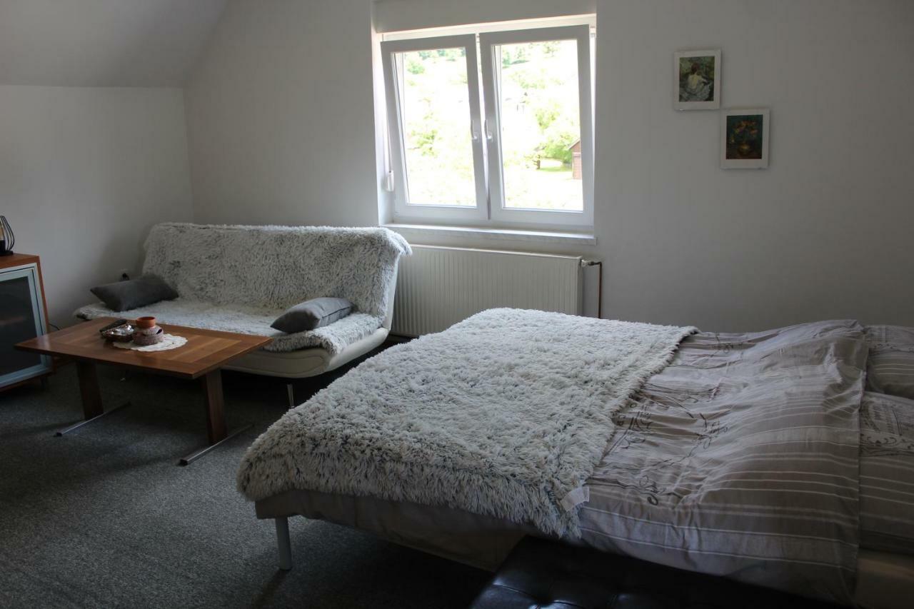 R&G Apartment Zirovnica Eksteriør bilde