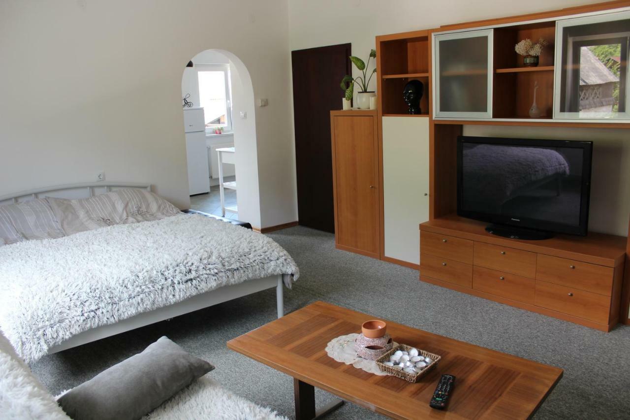 R&G Apartment Zirovnica Eksteriør bilde